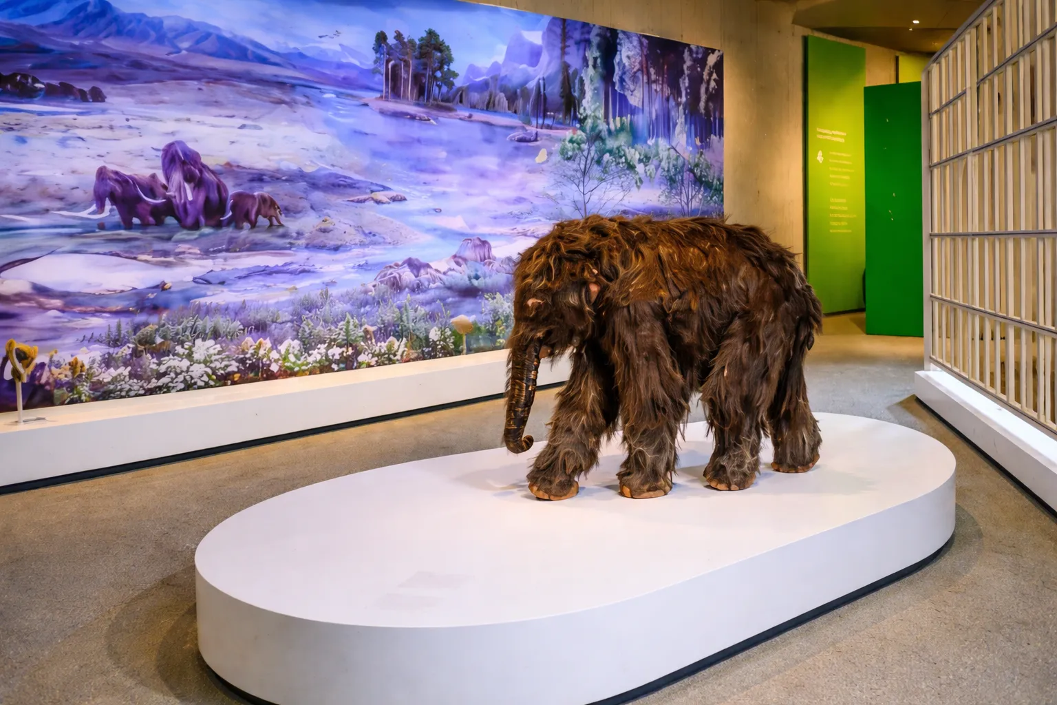 Mammut in Neanderthal Museum in Mettmann