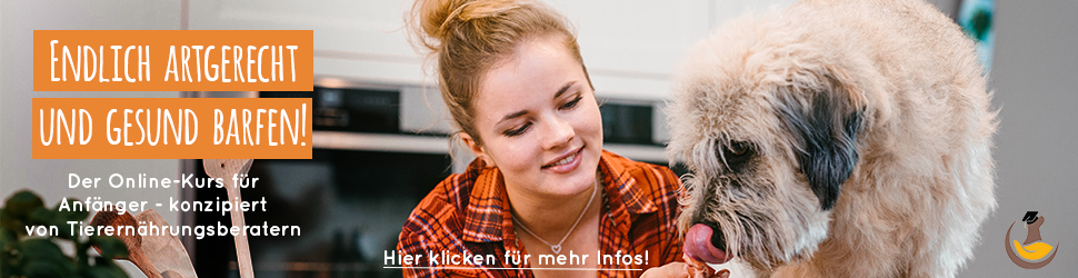 Barf_für_Hunde_Banner_1