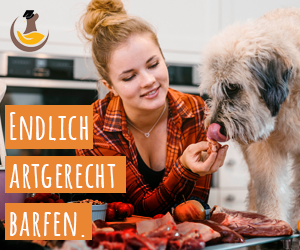 Barf_für_Hunde